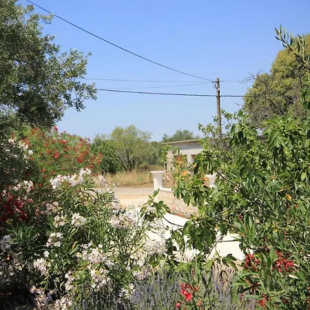 Appartamento With Parking Space - 8214