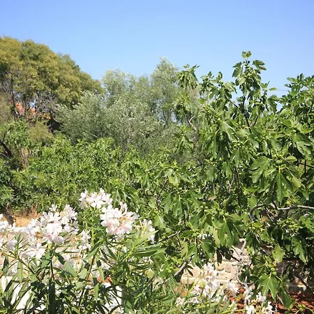 With Parking Space - 8214