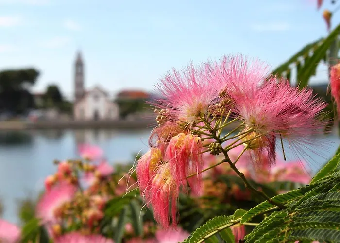 With Parking Space - 8214 *