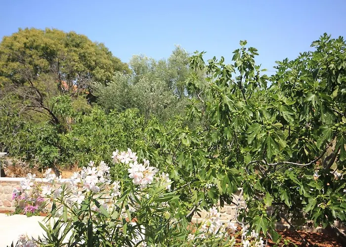 With Parking Space - 8214