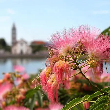 With Parking Space - 8214 *